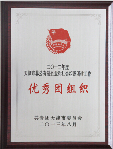 热烈庆祝我集团团支部荣获“2012年度天津市非公有制企业和社会组织团建工作良好团组织”荣誉称号